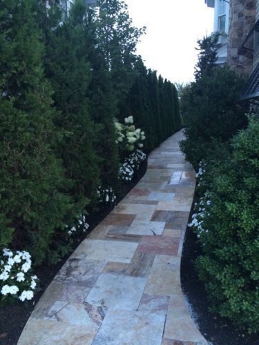 Stone path lined with green trees and white flowers.