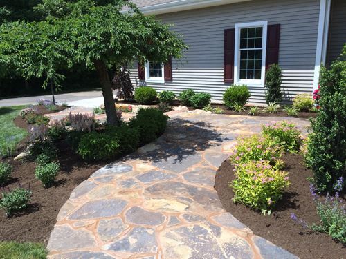 Stone pathway curves towards a house, lined with bushes and a weeping tree. Brown mulch and green plants.
