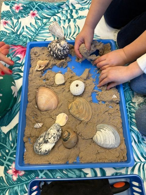Children are playing with sand and seashells in a blue tray