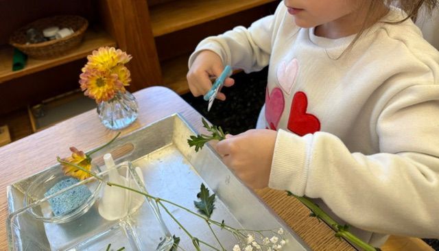 A little girl is sitting at a table cutting flowers with scissors