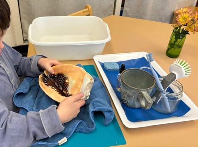 A child is cleaning a plate with a brush