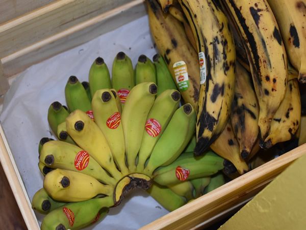 Bananas in a wooden crate, some green, some yellow with brown spots.