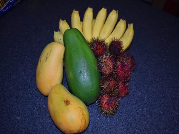 Yellow bananas, mangoes, green papaya, and red rambustans on blue surface.