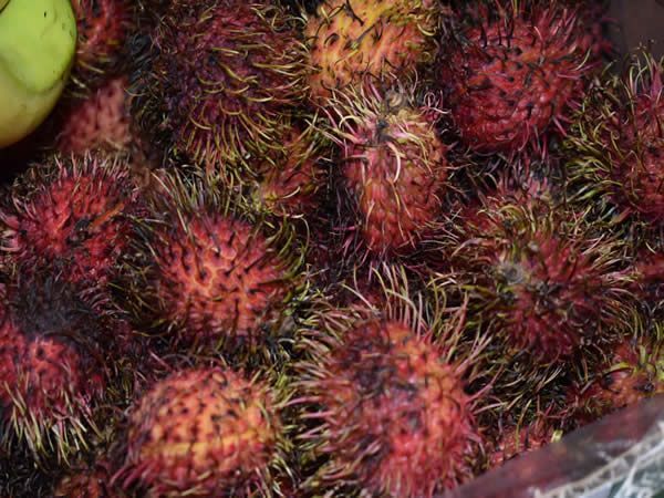 Pile of red, spiky rambutan fruit with green and yellow tips.