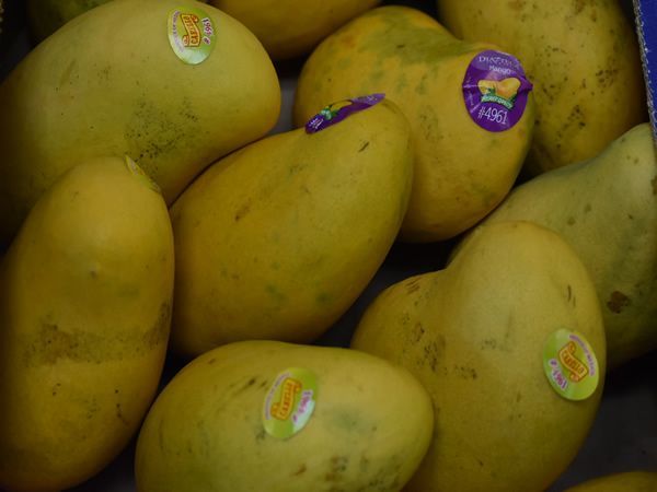 Pile of yellow mangoes with round stickers.