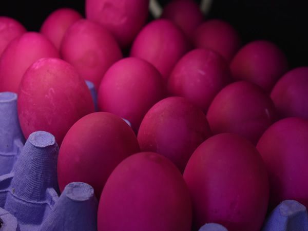 Pink dyed eggs in a blue egg carton.