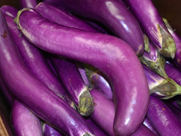 Pile of slender, purple Asian eggplants with green stems.