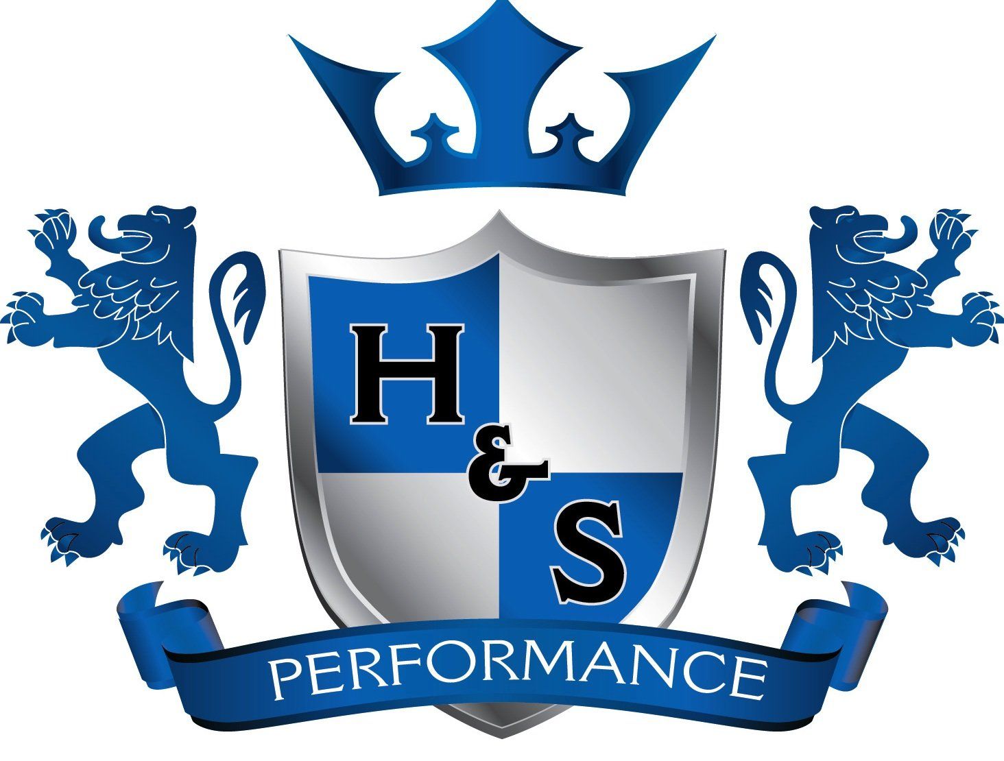 H&S logo