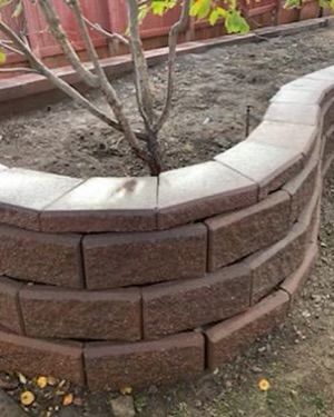 A brick wall with a tree in the middle of it.