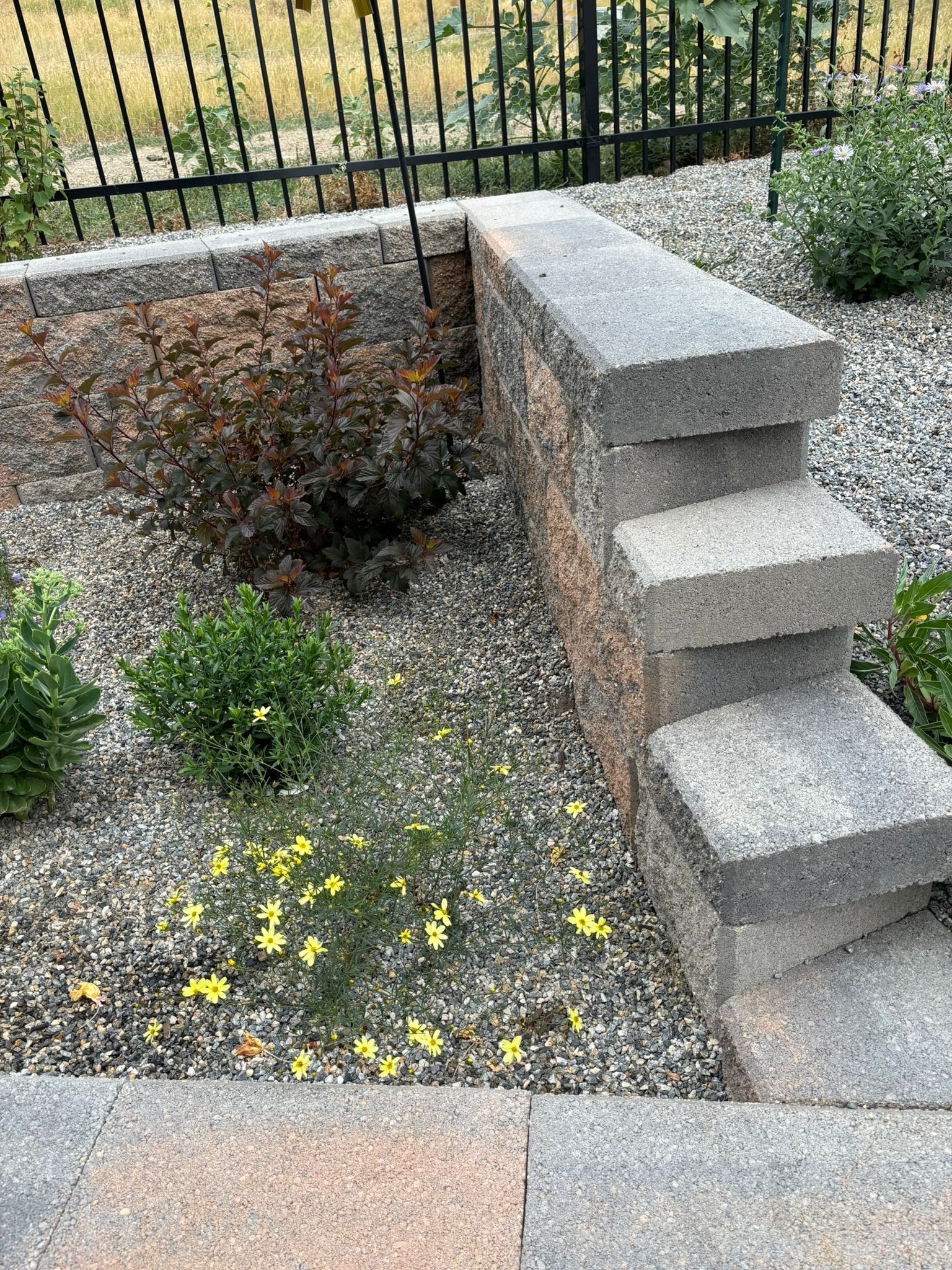 A stone wall with stairs leading up to it in a garden.