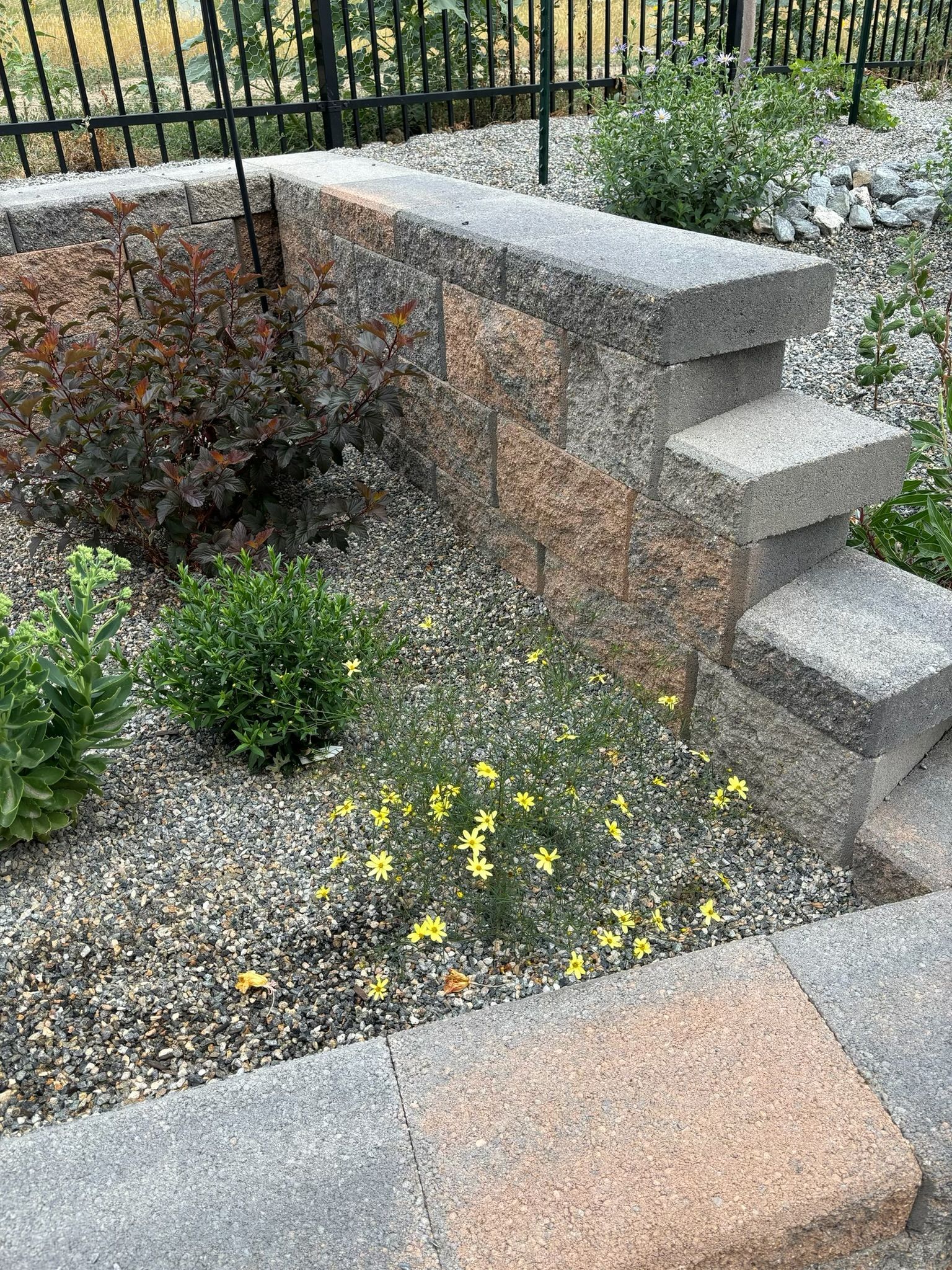 A stone wall with steps leading up to it in a garden.