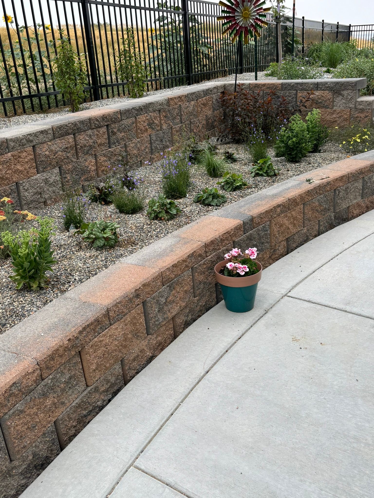 A potted plant is sitting on the sidewalk next to a brick wall.