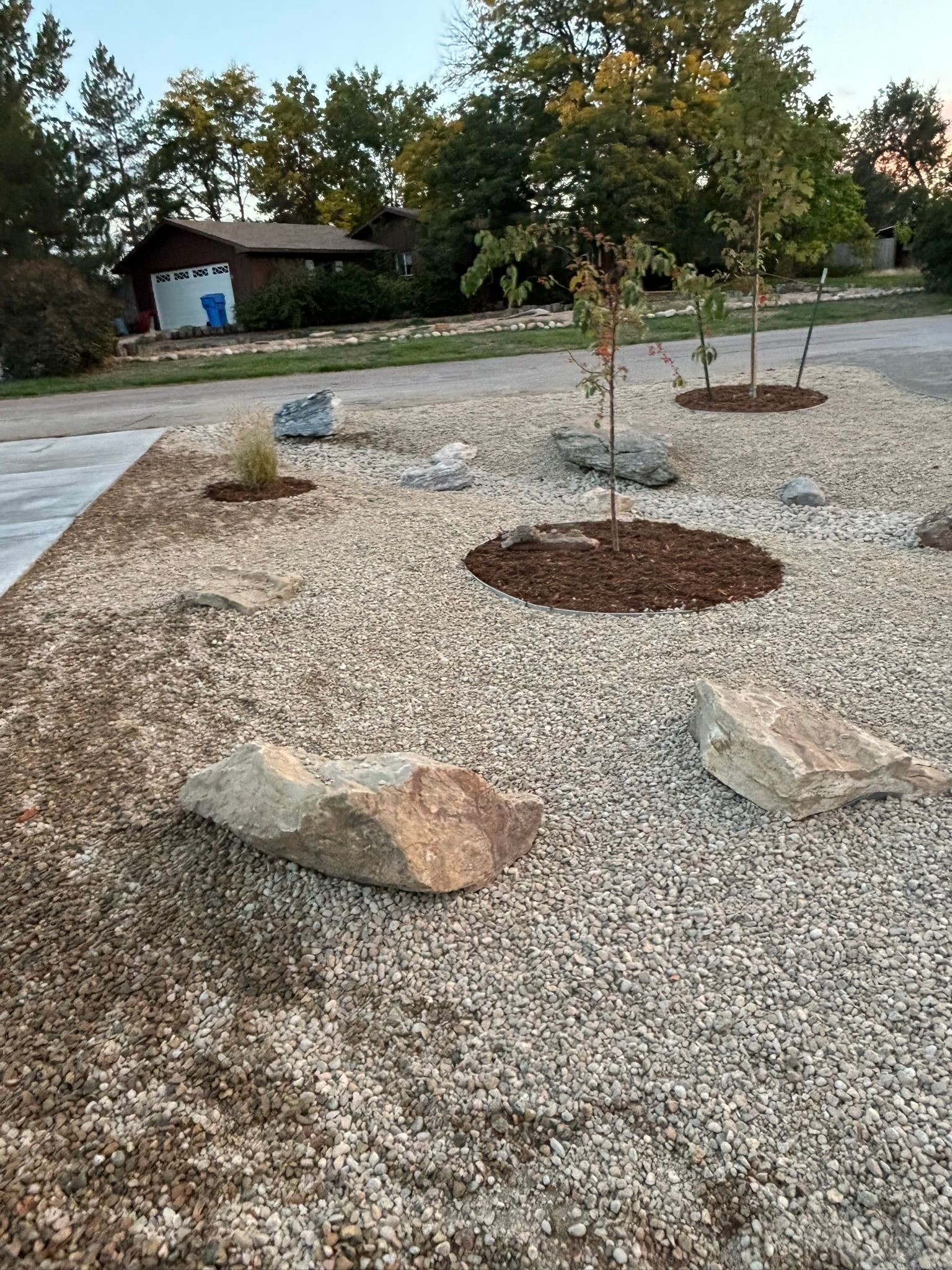 A gravel yard with trees and rocks in the middle of it.