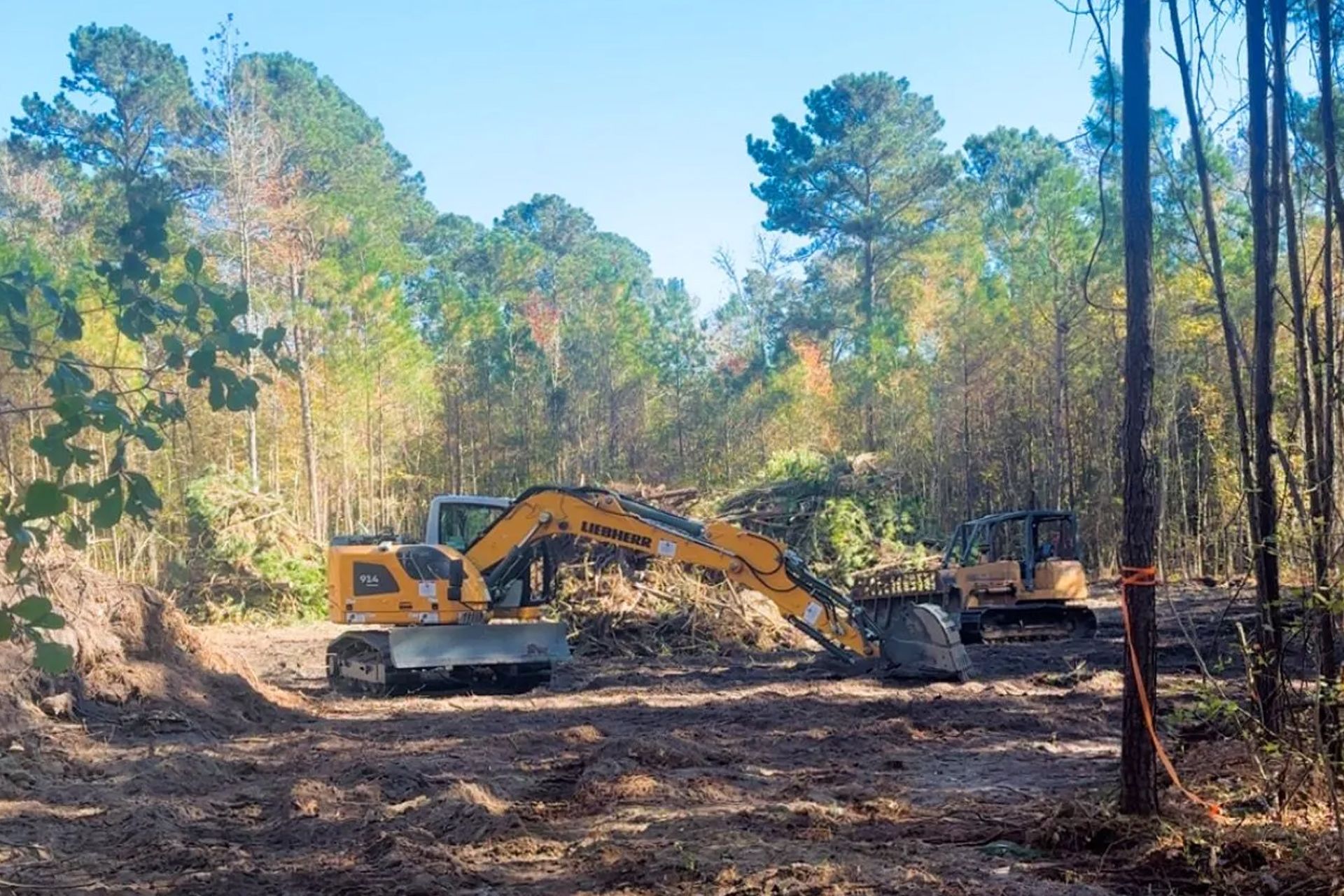 Cleared wooded lot with a bulldozer, scattered debris, and tall trees under a bright blue sky