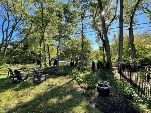Before - A backyard with a lot of trees and chairs