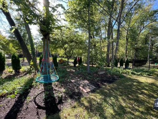 Before - A backyard with lots of trees