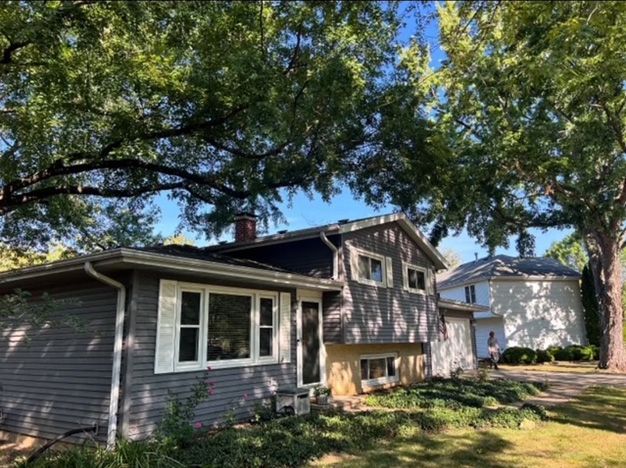 Before - A few large trees with several branches