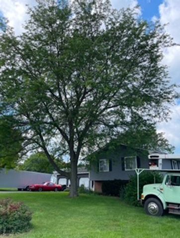 Before - A vehicle is parked in front of a house with a large tree