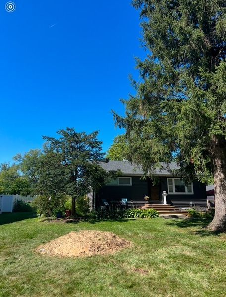 After - A tree was removed from the yard