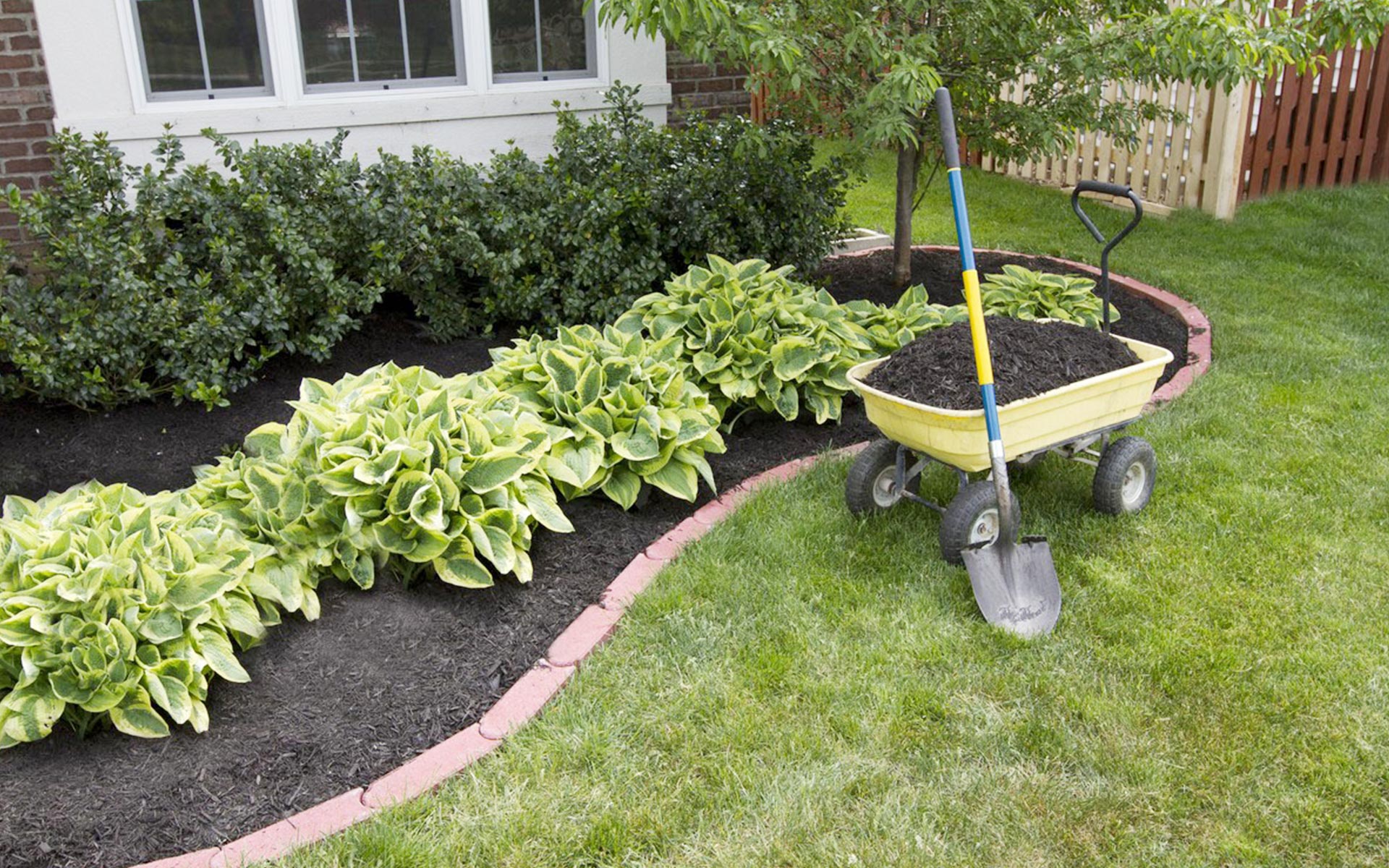 A wheelbarrow filled with dirt and a shovel in a garden