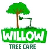 Willow Tree Care - Logo