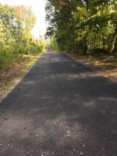 Asphalt path through a wooded area. The path is bordered by trees and foliage.