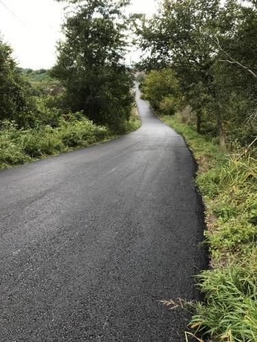 Paved road curves uphill, lined by trees and tall green grass. Overcast sky.