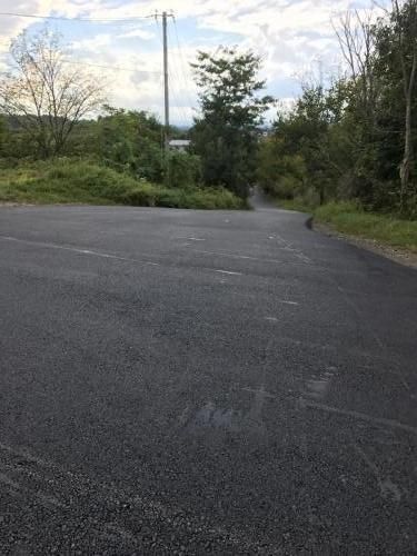 Paved road curves uphill, trees line both sides. Gray sky overhead.