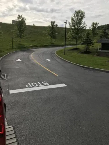 Asphalt road with stop line and arrows, curving uphill. Grass and trees border the road. Cloudy sky.