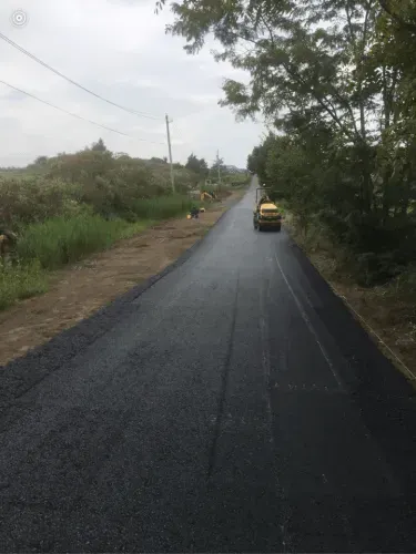 Asphalt road being smoothed by a road roller, flanked by overgrown roadside vegetation and trees.