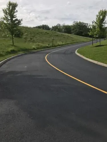 Curving asphalt road with yellow center line, bordered by grass and small trees, cloudy sky in background.