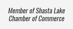 Member of Shasta Lake Chamber of Commerce