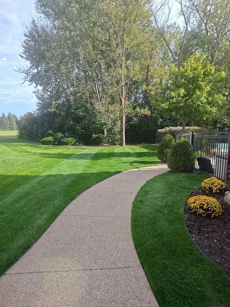 A curved concrete path leads through a well-manicured lawn toward trees, with decorative yellow bushes in mulch beds.