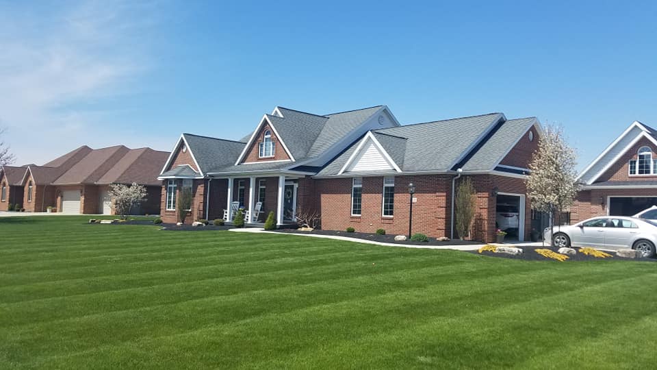 Brick houses with asphalt roofing