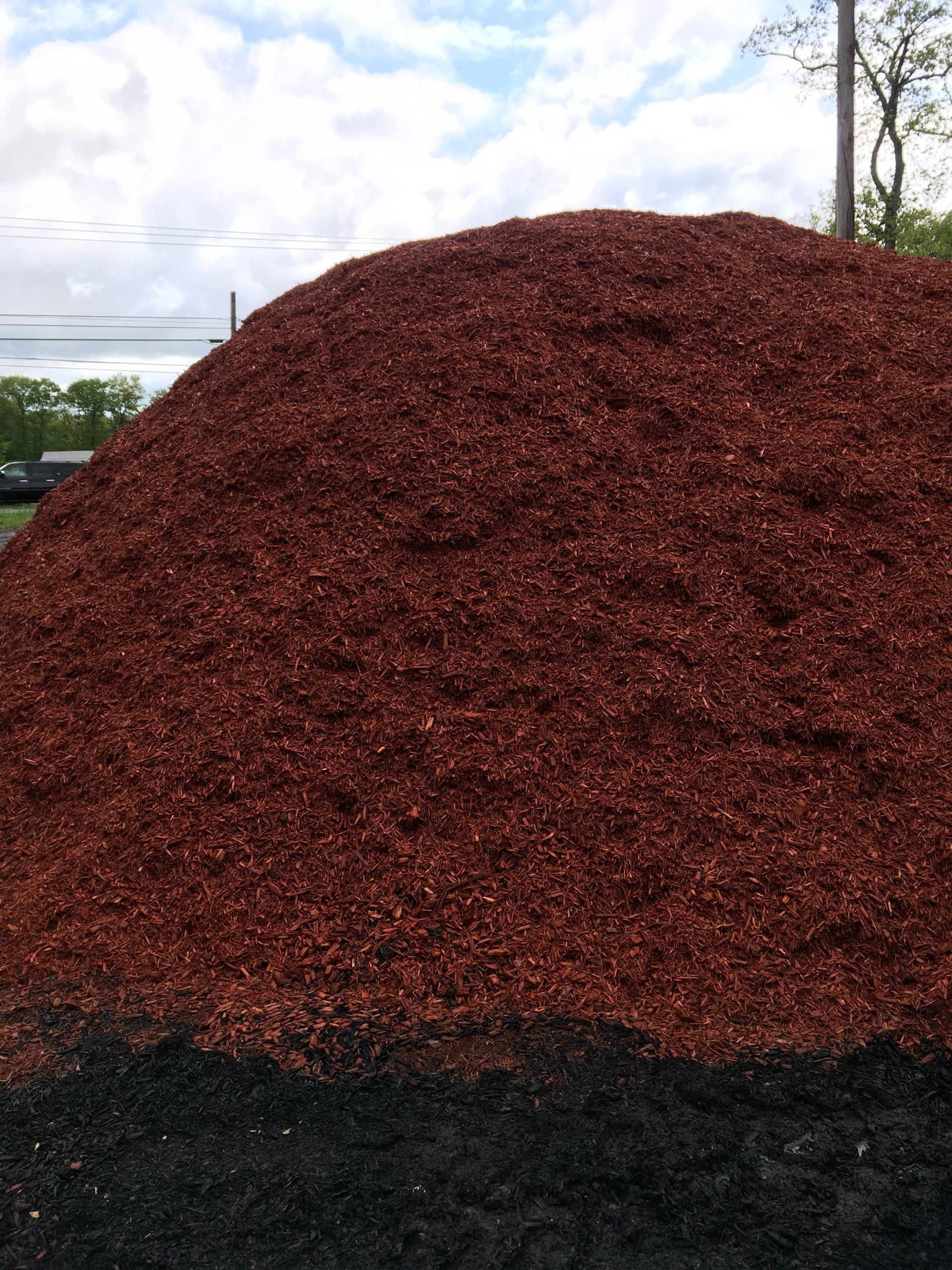 Mulch