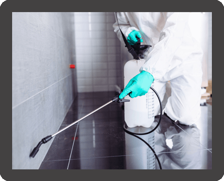 Exterminator spraying pesticide