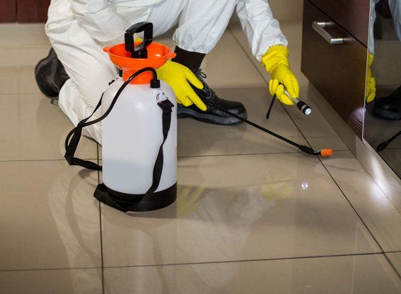 Worker using flashlight and sprayer