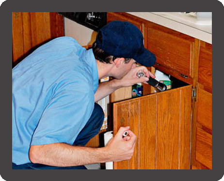 Pest control service