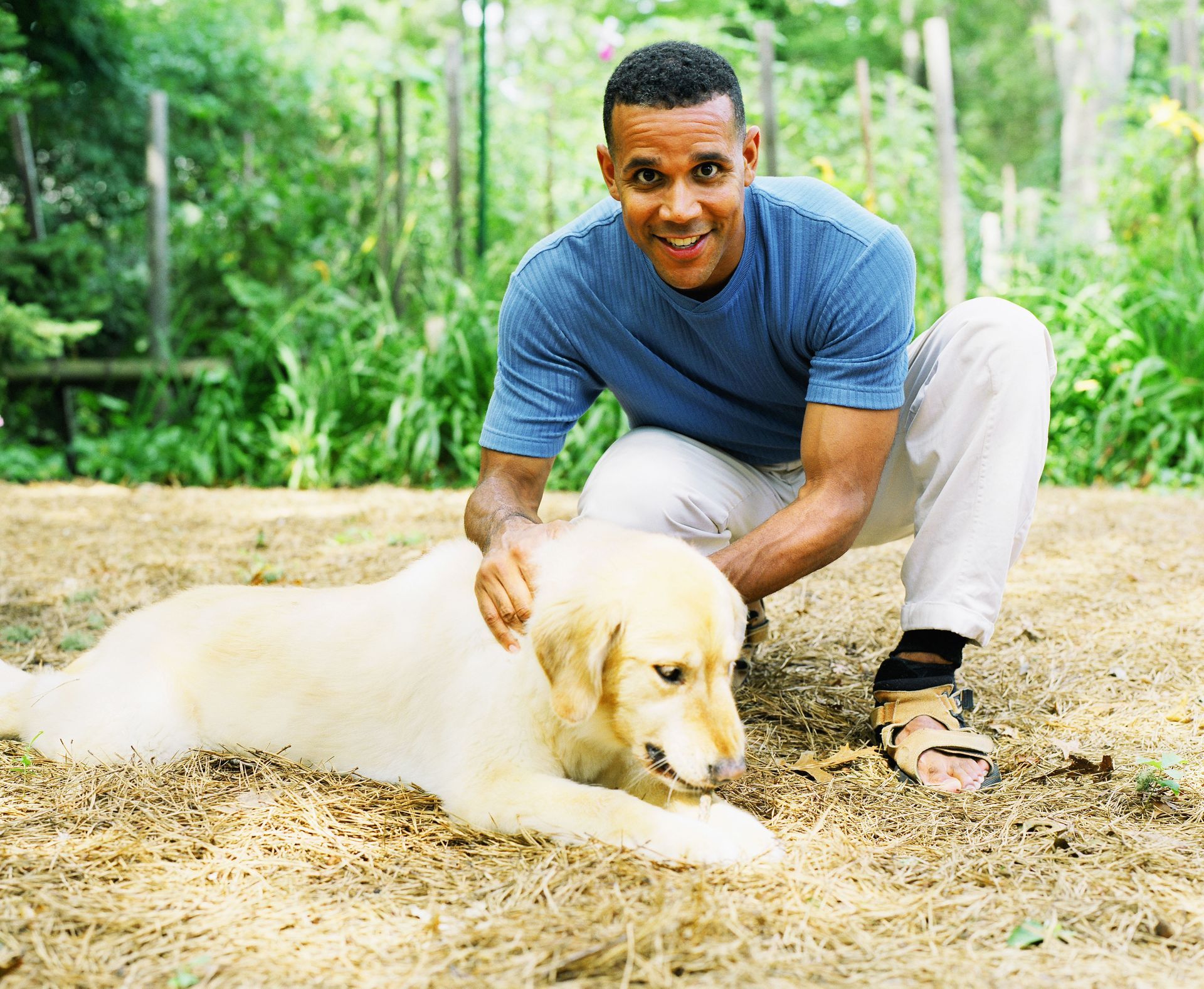 Why Local Doggie Daycares and Grooming Bundle for a Calmer Pet