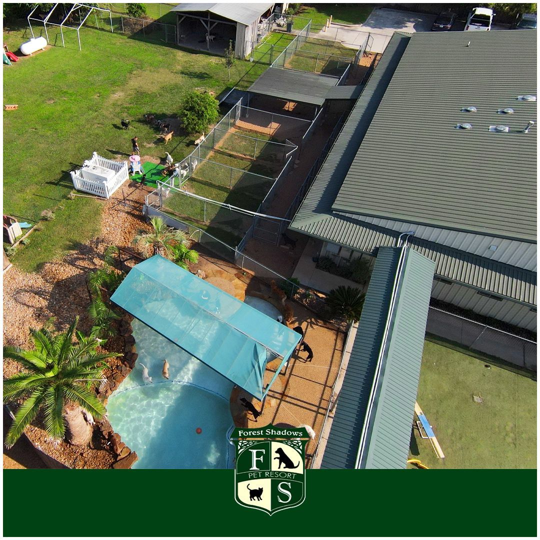 An aerial view of a dog kennel with a fns logo in the corner
