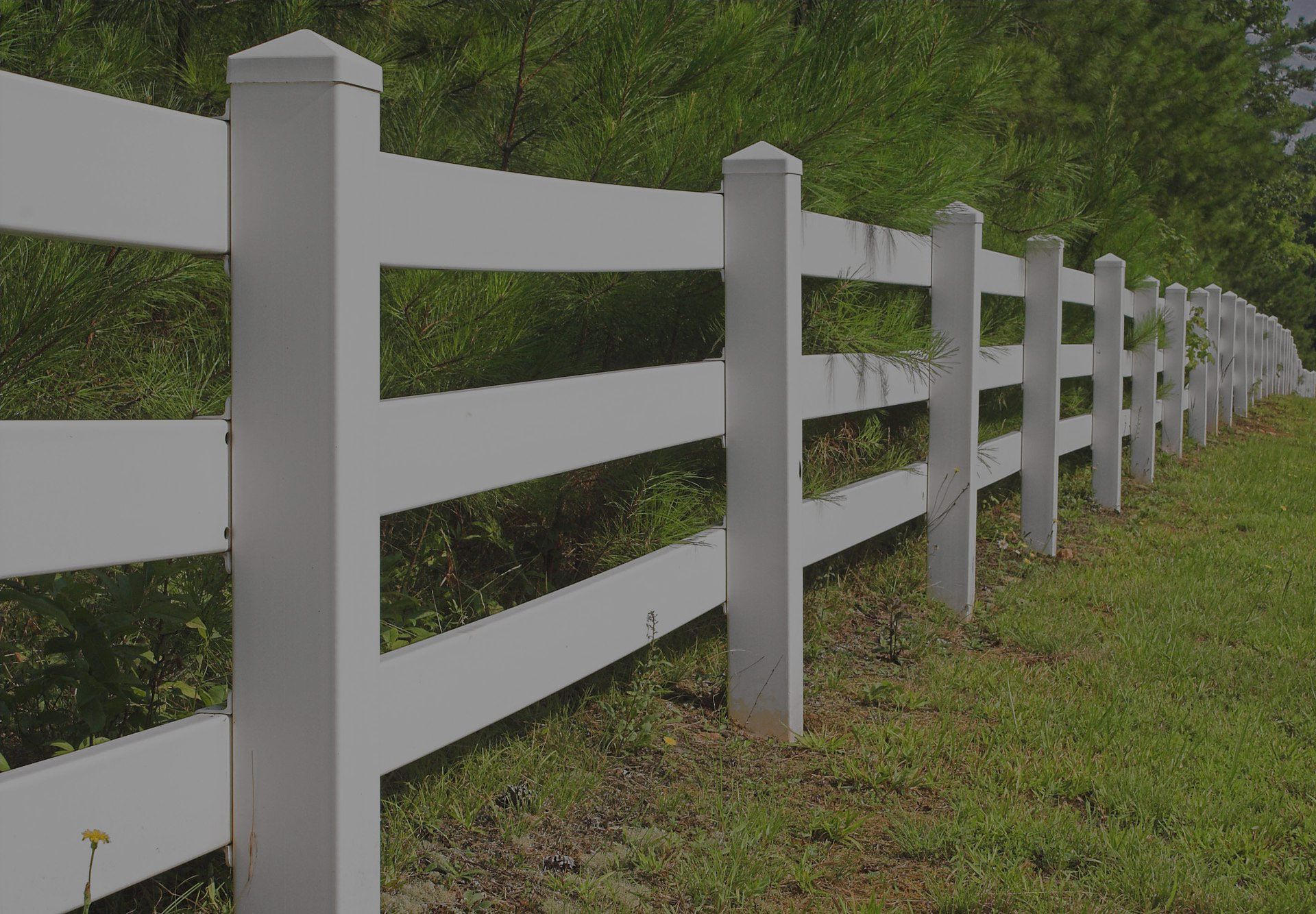 White picket fence in a grassy field with trees in the background. The fence is made of vertical posts and horizontal rails.