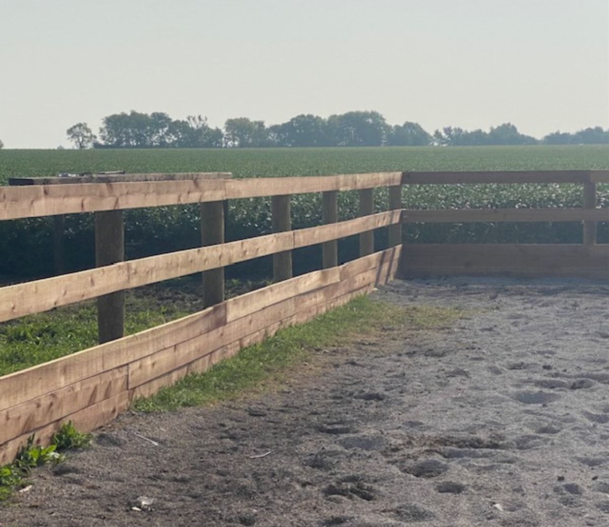Wooden fence around a sandy riding arena, with a green field and trees in the background on a sunny day.