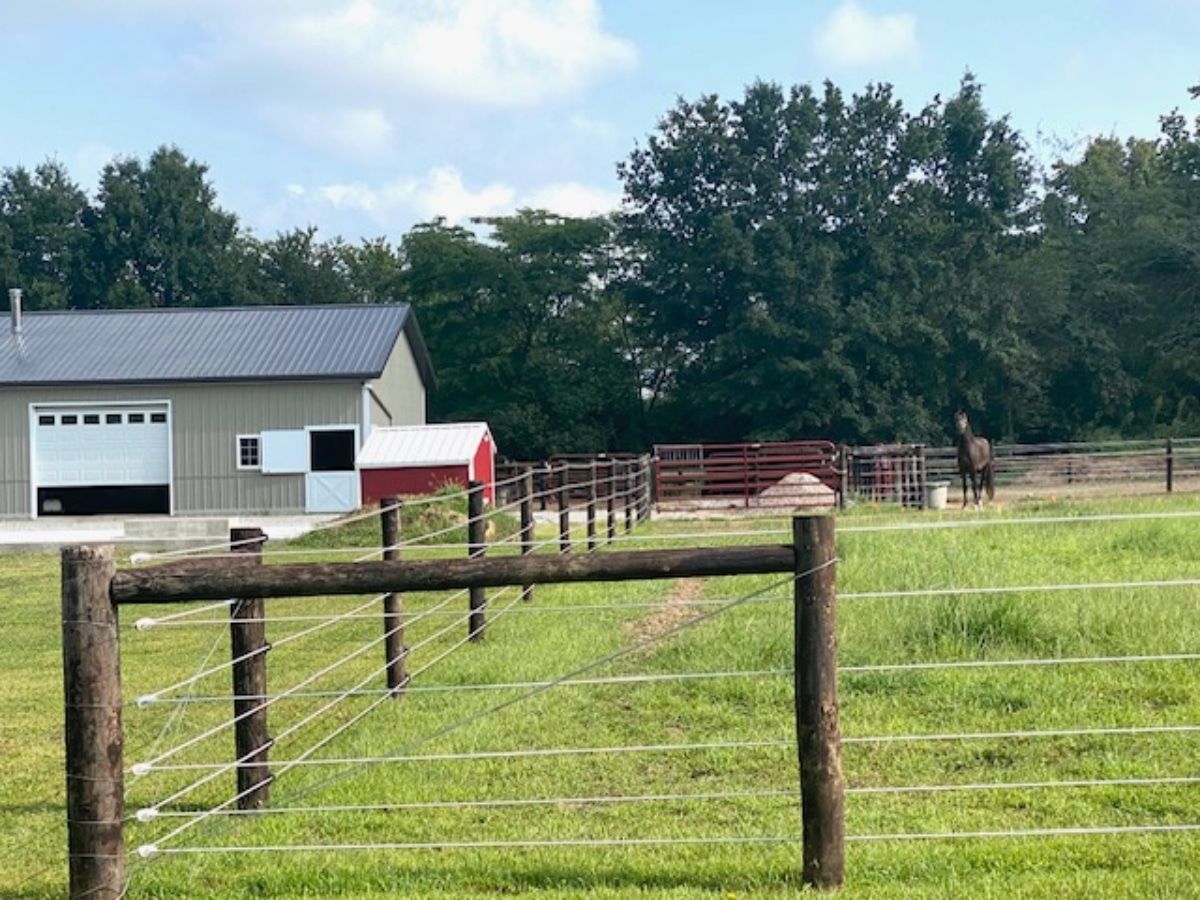 A barn and fenced pasture in a rural setting. A horse stands in the distance near trees.