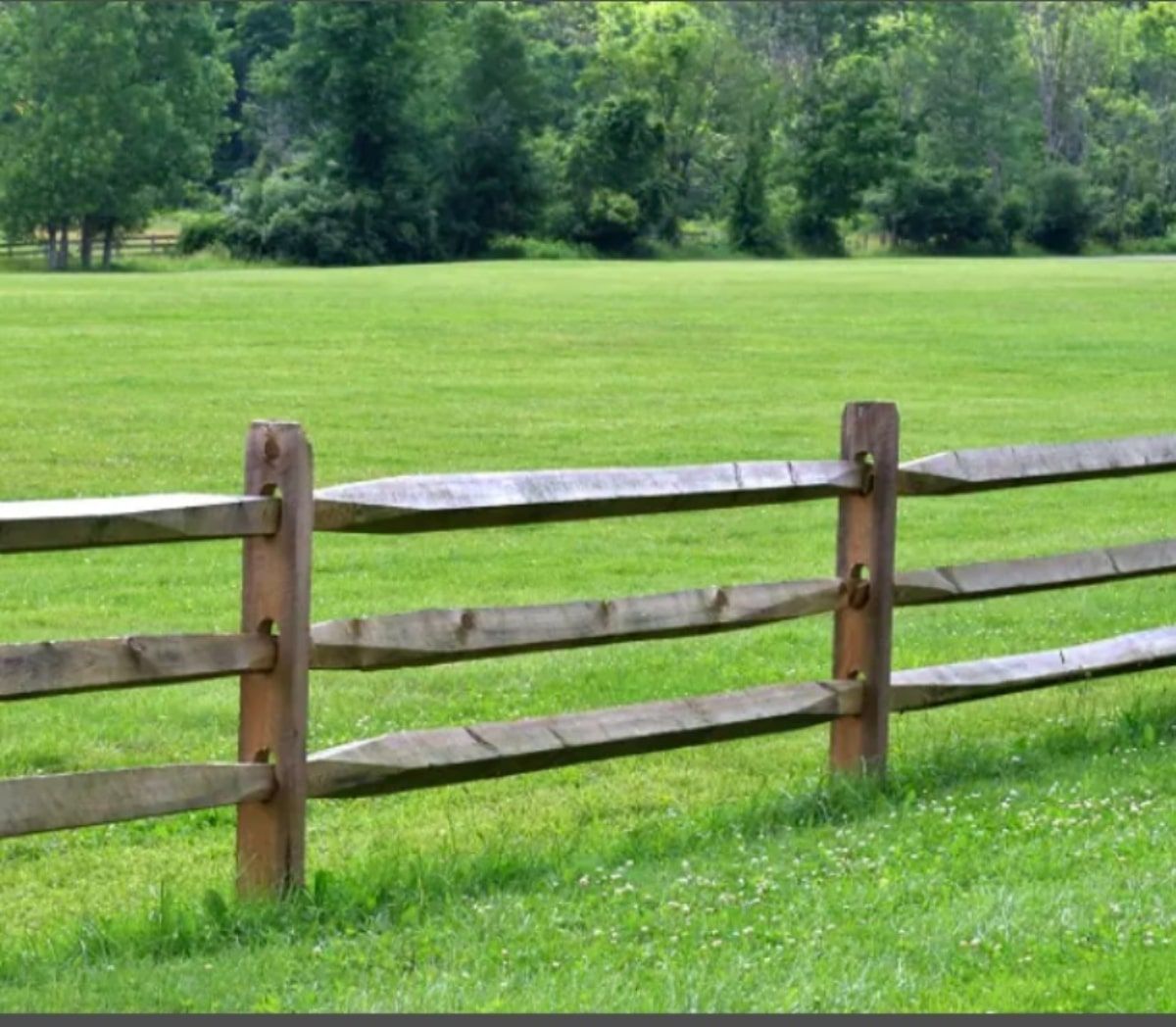 Wooden split-rail fence in front of a grassy field with trees in the background.