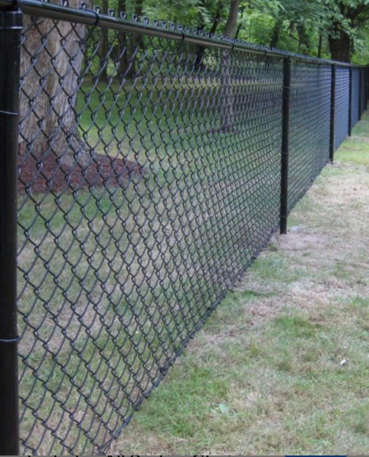 Black chain-link fence enclosing a grassy area, with trees visible in the background.