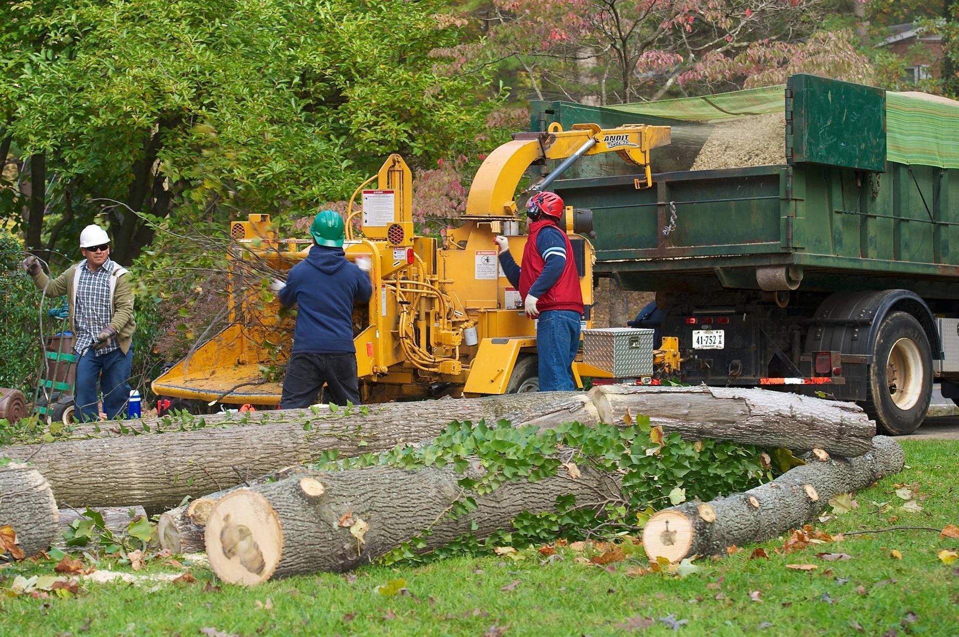 Workers use a wood chipper to clear fallen logs beside a green truck in a leafy yard.
