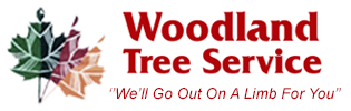 Woodland Tree Service - Lot Clearing | Woodruff, WI