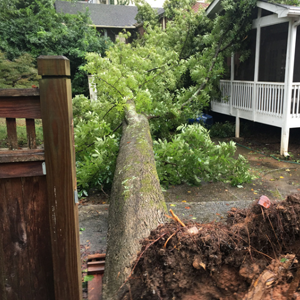 Fast Storm Damage Clean-Up