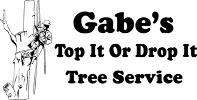 Gabe S Top It Or Drop It Tree Service Arborist Waupaca Wi Oshkosh Wi