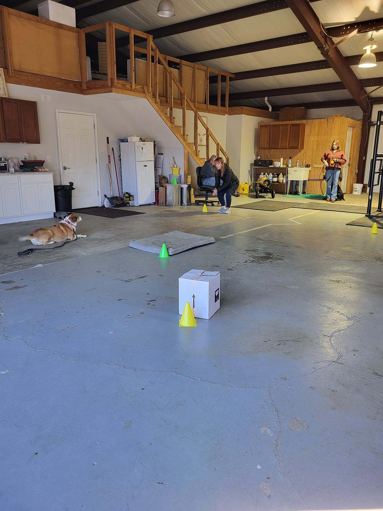 A dog is laying on the floor in a large room